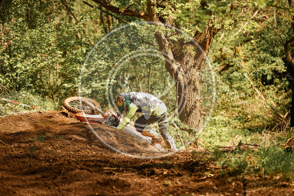 RottlebenIGE25_Lauf2-215 | koppe-media