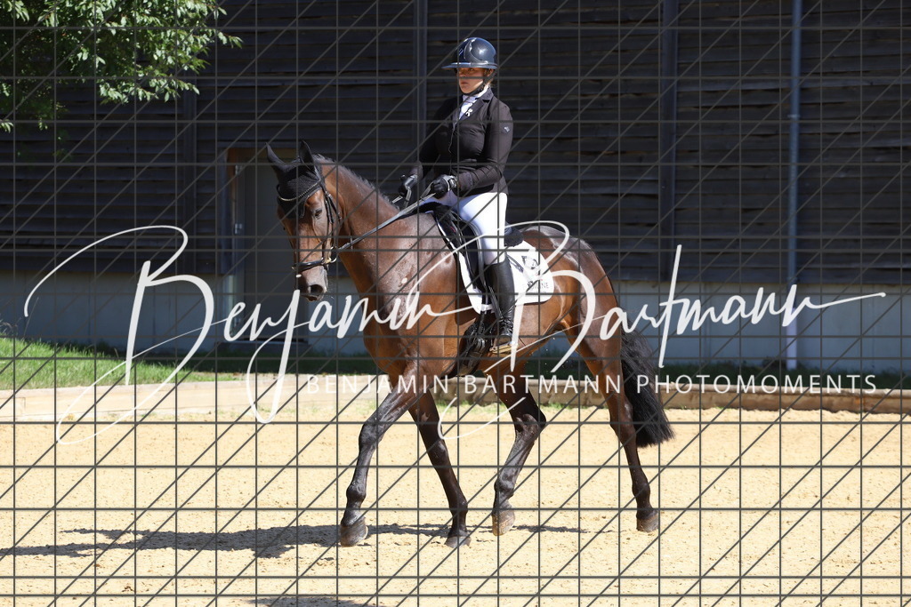 IMG_6005 | Benjamin Bartmann Photomoments