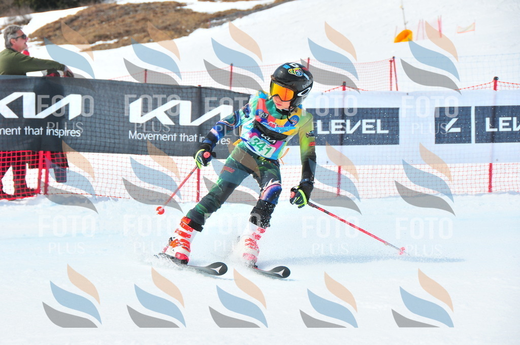 DSC_3105 | holidayphoto