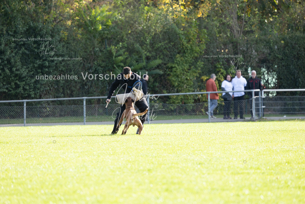 _16A6570 | Einzigartige Fotos von Hunden & Menschen –Actionfotos, Portraits, Vereinsaufnahmen & Paarshootings – authentisch, lebendig & mit Herz.