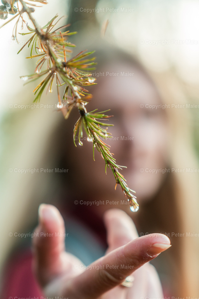Hochstein_Erlebnisraum_Wald_23_Peter_Maier-110 | piet_flosse