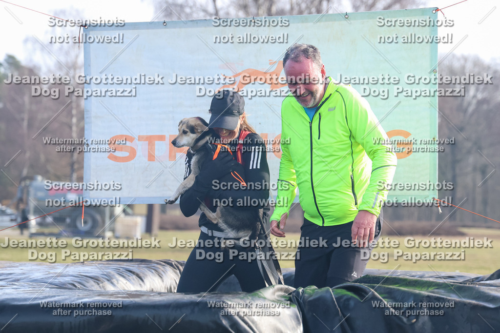 Dog Paparazzi - Strongdog North Mrz26-571 | Dog Paparazzi Jeanette Grottendiek Fotografie & Videografie - Realisiert mit Pictrs.com