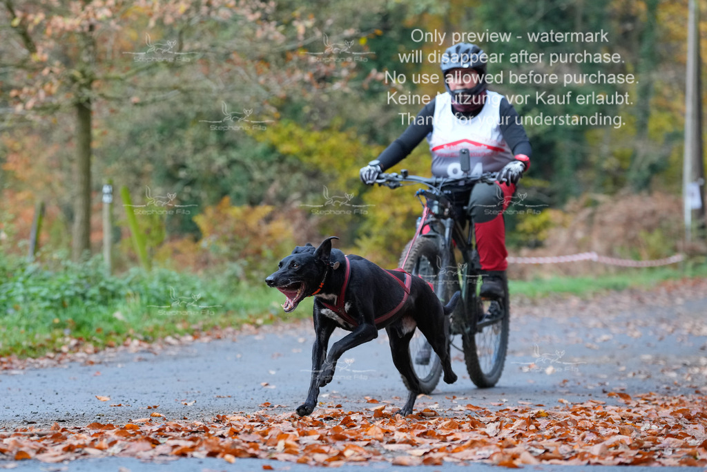 Bike_So-158 | stephaniefillaphotographie - Realisiert mit Pictrs.com