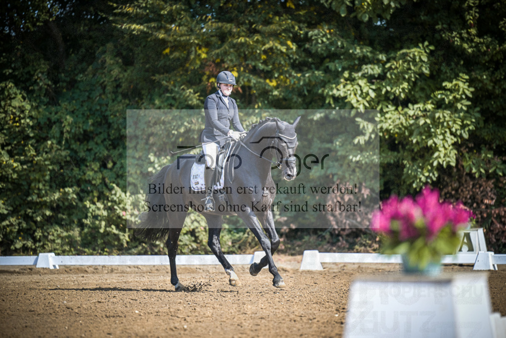 DOS_3601 | Entdecke hochwertige Reitturnierfotos von Foto Oger. Professionell, emotional und authentisch – jetzt Lieblingsmomente im Shop bestellen.Deutschlandweite Turnierfotografie. - Realisiert mit Pictrs.com