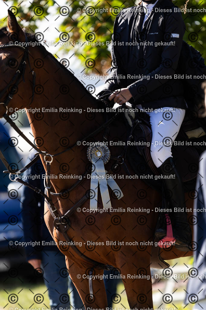 CL5A1402 | Emilia Reinking Fotografie - Realisiert mit Pictrs.com