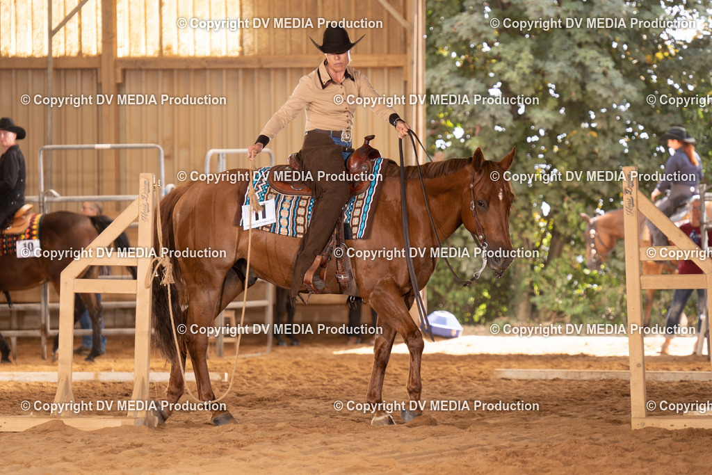 NID00546 | dv-media-shop - Realisiert mit Pictrs.com