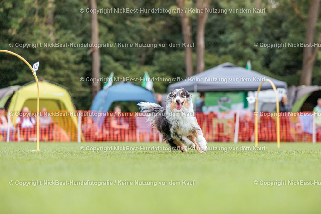BSP Hoopers-H2 Tag2-2026-Nickbest-Hundefotografie-TuS Komet Arsten e.V.-4613 | Dein Hund! Dein Moment! Deine Erinnerungen! Hundefotografie in Bremen Blumenthal. Ich fange die besonderen Momente deines Vierbeiners ein – ob Indoor mit Blitzanlage oder in der freien Natur. Sicher dir dein Moment und dein Termin für eure Erinnerungen.