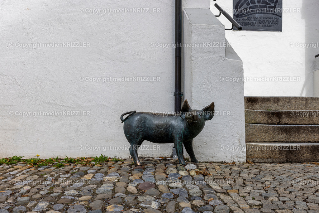 _J3A5363 | medienkrizzler - Realisiert mit Pictrs.com