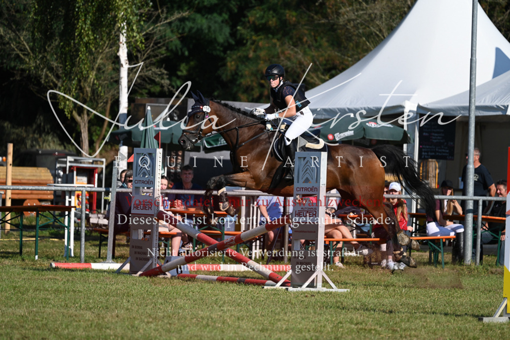 DSC_4855 | Pferde- und Turnierfotografie in Westsachsen. Pferdeportraits, Auftragszeichnungen und intuitive Kunst.