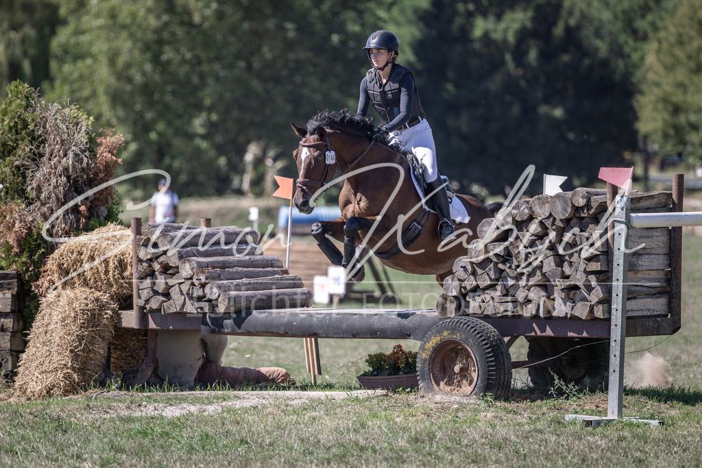 20260906-_3LI3625 | Tierfotografie Pferde, Hunde, Katzen, Haustiere.
Turnierfotografie Reitturniere, Reiten, Springreiten, Dressur in Hanau, dem Main-Kinzig-Kreis und dem Rhein-Main- Gebiet um Frankfurt