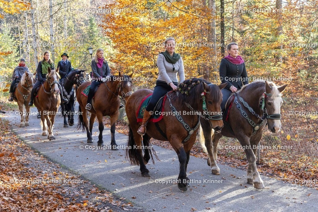 LL24-320 | foto-bettina-krinner - Realisiert mit Pictrs.com