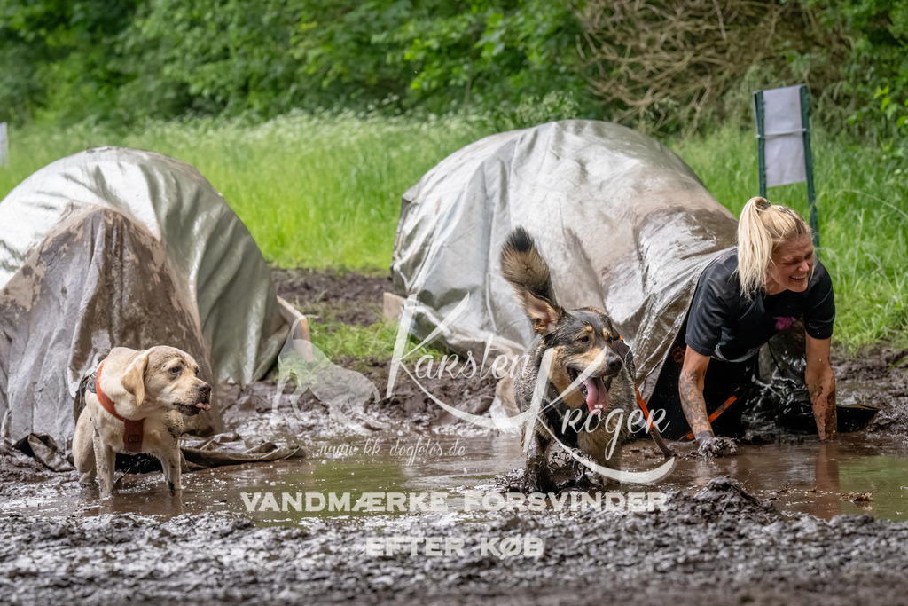 1519_ZZ92775-Bearbeitet | kk-dogfotos