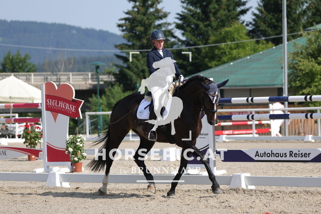 0P6A4559 | Willkommen bei Brunnmayr - Design & Fotografie – Ihrem Spezialisten für Reitturniere und Pferdeveranstaltungen in Oberösterreich, Salzburg und Bayern! Seit über 17 Jahren sind wir leidenschaftlich dabei.