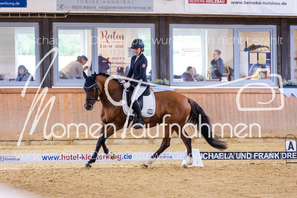 Sth-A-Dre-2St-227 | MomenTaufnahmen Pferdesportfotos