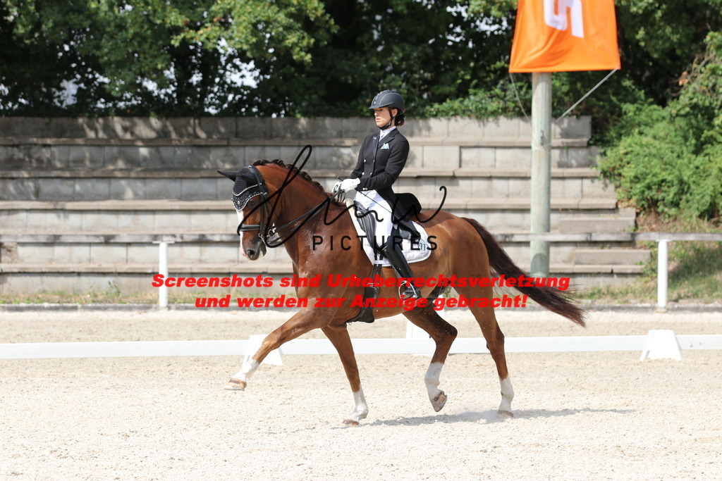 IMG_7085 | lmwpictures - Realisiert mit Pictrs.com