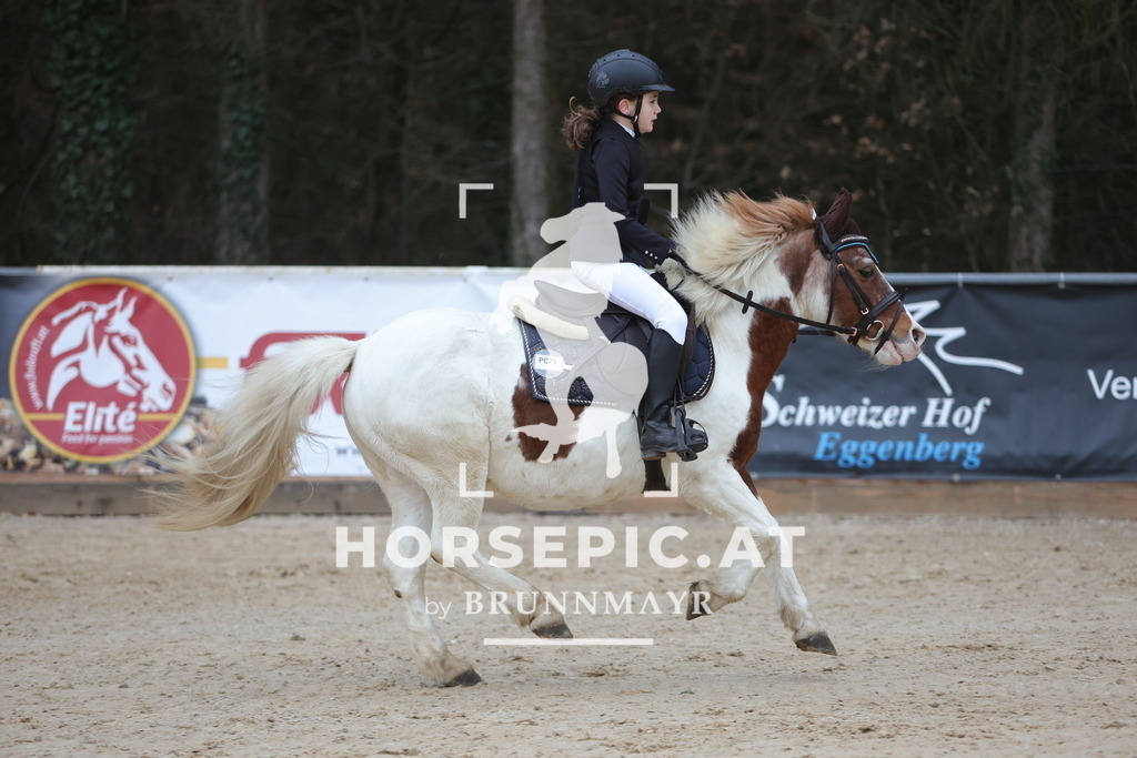 0P6A3906 | Willkommen bei Brunnmayr - Design & Fotografie – Ihrem Spezialisten für Reitturniere und Pferdeveranstaltungen in Oberösterreich, Salzburg und Bayern! Seit über 17 Jahren sind wir leidenschaftlich dabei.