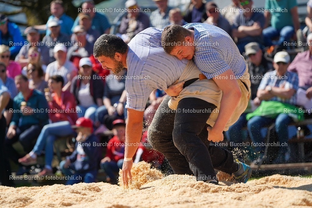 20220418-DSC07623 | René Burch leidenschaftlicher Fotograf aus Kerns in Obwalden.  Hier finden sie Sport, Landschaft und Natur Fotografie.
 - Realisiert mit Pictrs.com