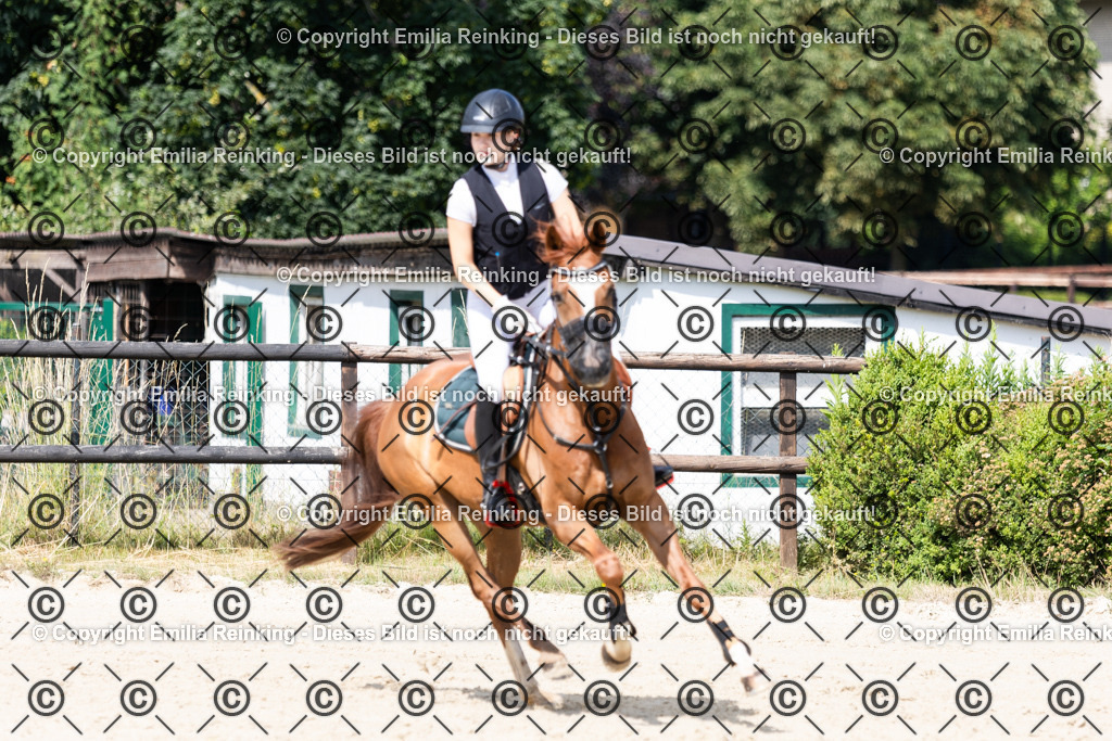 CL5A6654 | Emilia Reinking Fotografie - Realisiert mit Pictrs.com