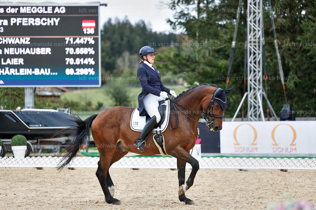11-036-Dressur S___-StoibPH-1448 | working equitationturnier fotograf videograf stoibphotography marixx film working equitation deutschland reitsport turnierfotografie eventfotografie equestrian events