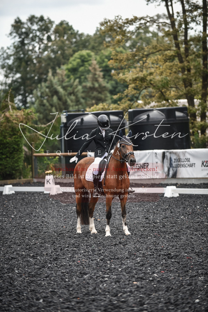 DSC_4481 | Pferde- und Turnierfotografie in Westsachsen. Pferdeportraits, Auftragszeichnungen und intuitive Kunst.