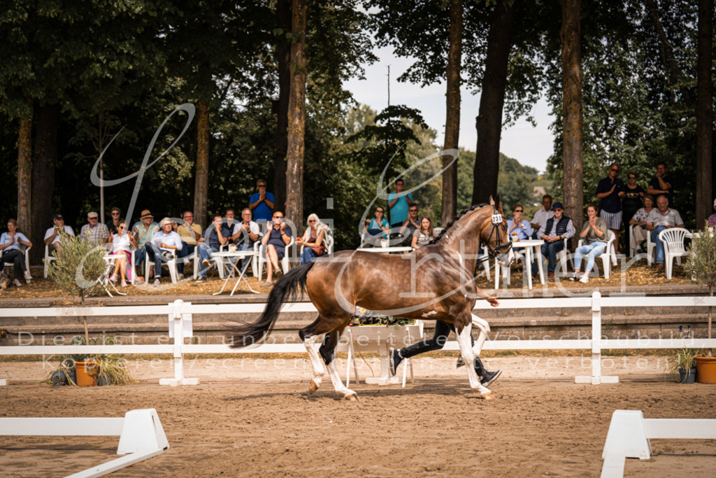 3.Fr00212 | Leoni Ertmer Photography - Realisiert mit Pictrs.com