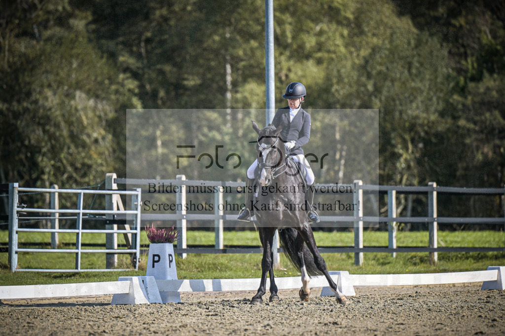 DOS_2941 | Entdecke hochwertige Reitturnierfotos von Foto Oger. Professionell, emotional und authentisch – jetzt Lieblingsmomente im Shop bestellen.Deutschlandweite Turnierfotografie. - Realisiert mit Pictrs.com