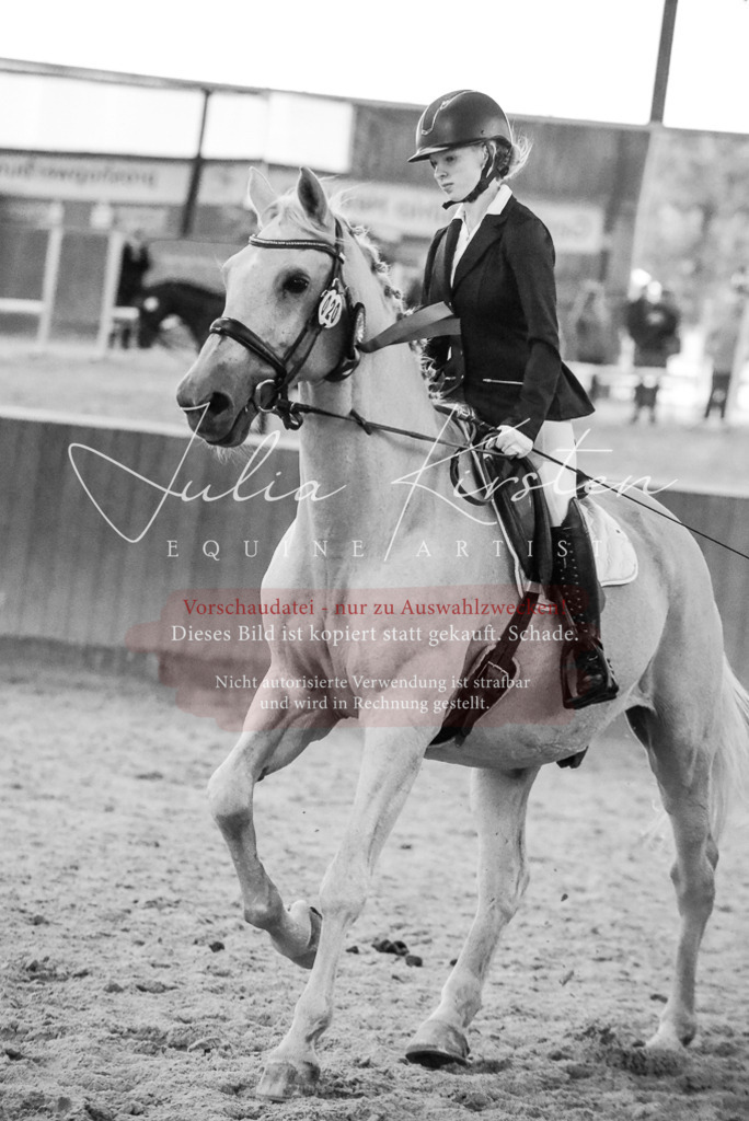 DSC_7746 | Pferde- und Turnierfotografie in Westsachsen. Pferdeportraits, Auftragszeichnungen und intuitive Kunst.