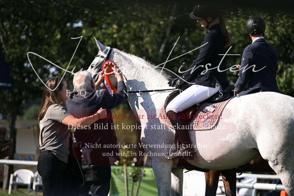 DSC_1538 | Pferde- und Turnierfotografie in Westsachsen. Pferdeportraits, Auftragszeichnungen und intuitive Kunst.