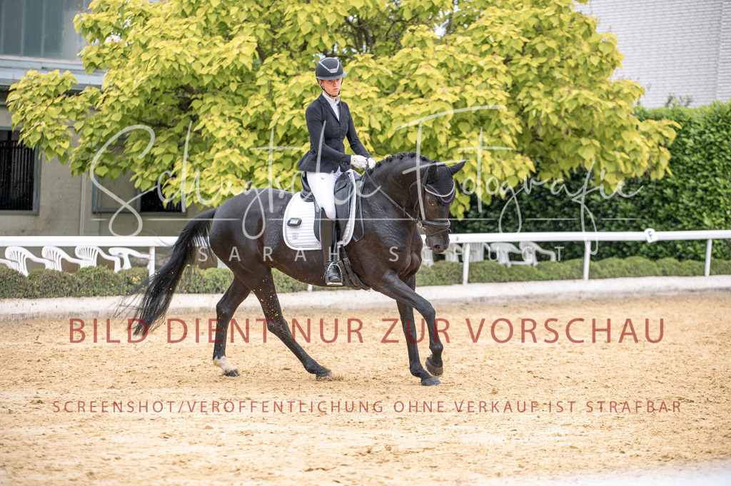 Schugtsche-Aluta25-41.Amat-Dressurprf.A_-402 | Schugtsche Fotografie - Realisiert mit Pictrs.com