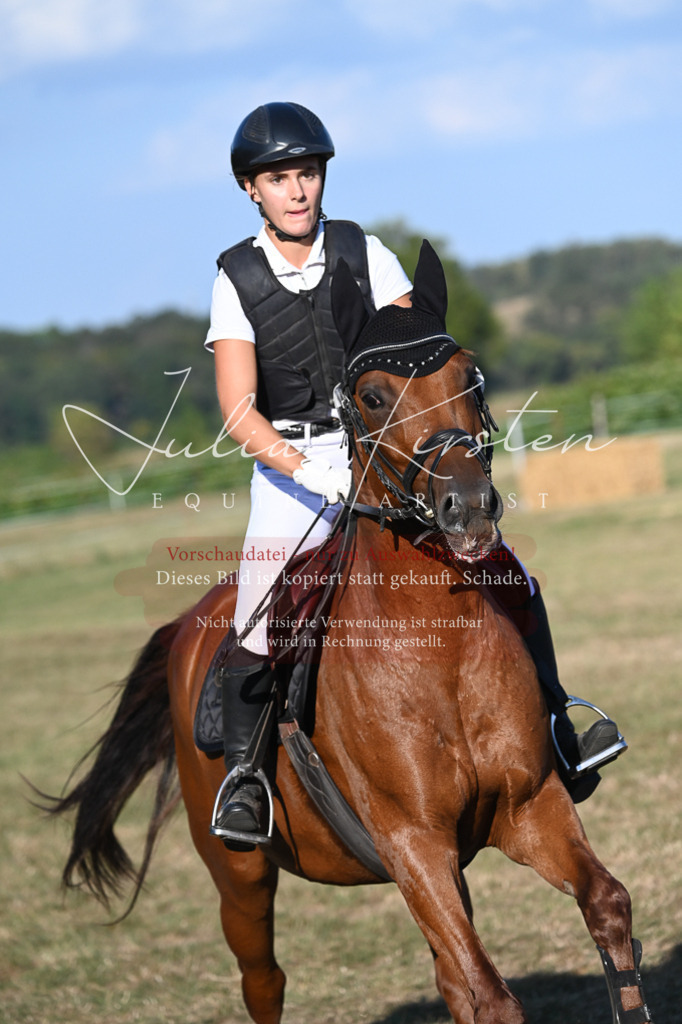 DSC_9053 | Pferde- und Turnierfotografie in Westsachsen. Pferdeportraits, Auftragszeichnungen und intuitive Kunst.