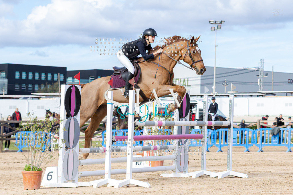 IMG_3612 | s-jay-photography - Realisiert mit Pictrs.com