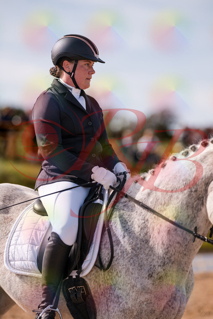 2026_10_03_Siefer-Hof_122642_Z81_26314772 | Professionelle Reitsport-, Turnier- und Eventfotografie von Robert Broda. Galerien mit ausgewählten und bearbeiteten Bildern direkt online ansehen und bestellen.