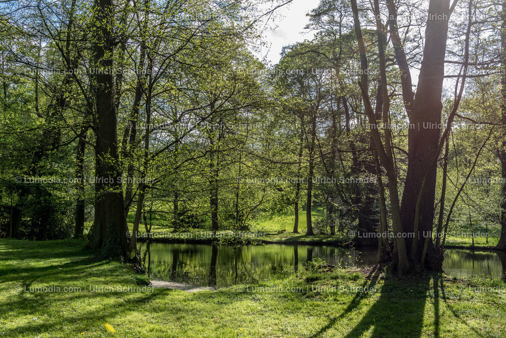 10049-3835 - Schloßpark Ballenstedt | Stockfoto und Bilderpool mit Bildmaterial aus Deutschland, dem Harz, Halberstadt, Quedlinburg, Wernigerode und weltweit. Qualitativ hochwertige und professionelle Fotos anschauen und kaufen. - Realisiert mit Pictrs.com