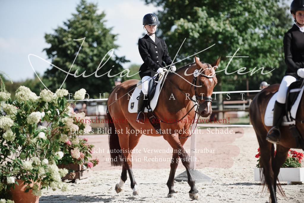DSC_9885 | Pferde- und Turnierfotografie in Westsachsen. Pferdeportraits, Auftragszeichnungen und intuitive Kunst.