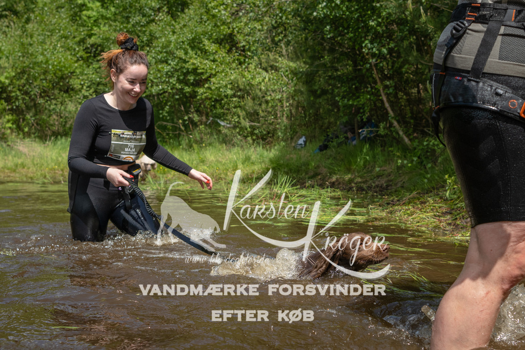 1217DKK992428 | kk-dogfotos