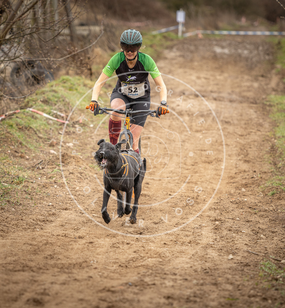 DV3A1423 | Hundefotografie, Tierfotograf, Pfotenfotografie, Fotoshooting Hund, Hunde Portrait, Hundesport, Hundeportraits, Heideshooting, Hunde, Sportfotograf, Hundefotograf, Turnierhundsport, THS,  - Realisiert mit Pictrs.com