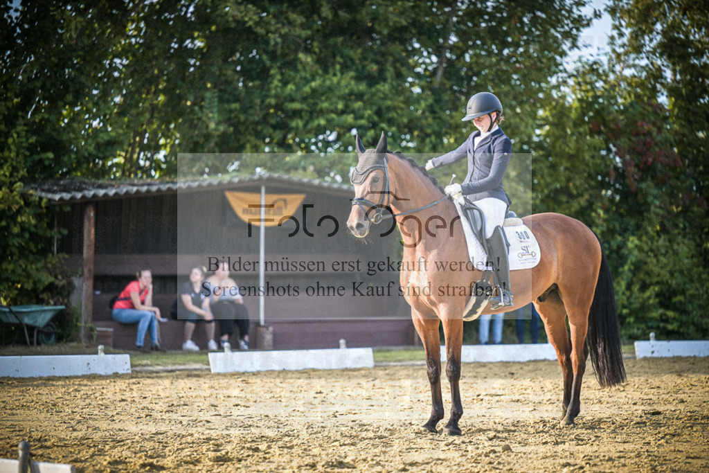 DOS_2035 | Entdecke hochwertige Reitturnierfotos von Foto Oger. Professionell, emotional und authentisch – jetzt Lieblingsmomente im Shop bestellen.Deutschlandweite Turnierfotografie. - Realisiert mit Pictrs.com