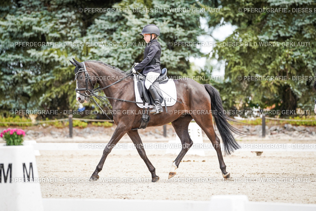 DSC02833 | Pferdegrafie