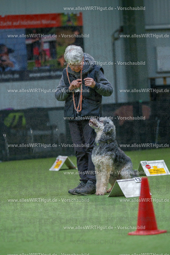 7R501269 | Professionelle Tierfotografie in Mönchengladbach von Daniel Wirth (allesWIRTHgut). Liebevolle & natürliche Bilder von Hunden & Katzen für unvergessliche Erinnerungen.