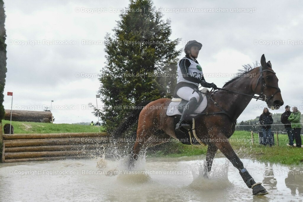 20230513_CCI2_Section2_Gelände_0577 | equistock