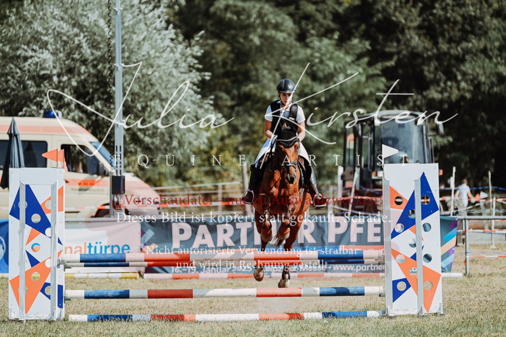 DSC_9429 | Pferde- und Turnierfotografie in Westsachsen. Pferdeportraits, Auftragszeichnungen und intuitive Kunst.