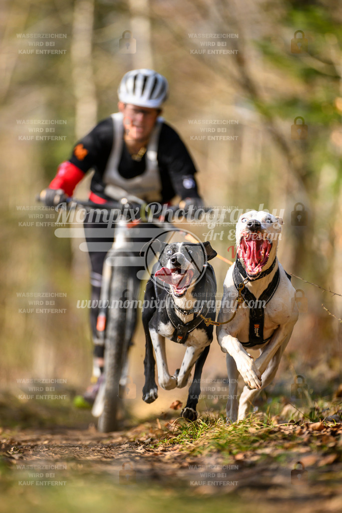 MompixPhotography_6ReiatRennen2026_SO_Scooter-9 | PayLife