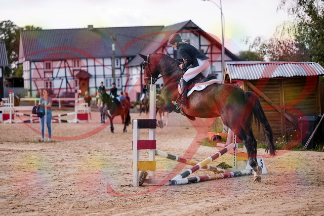 2026_10_03_Siefer-Hof_144053_Z81_12323309 | Professionelle Reitsport-, Turnier- und Eventfotografie von Robert Broda. Galerien mit ausgewählten und bearbeiteten Bildern direkt online ansehen und bestellen.