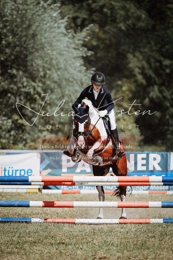 DSC_9981 | Pferde- und Turnierfotografie in Westsachsen. Pferdeportraits, Auftragszeichnungen und intuitive Kunst.