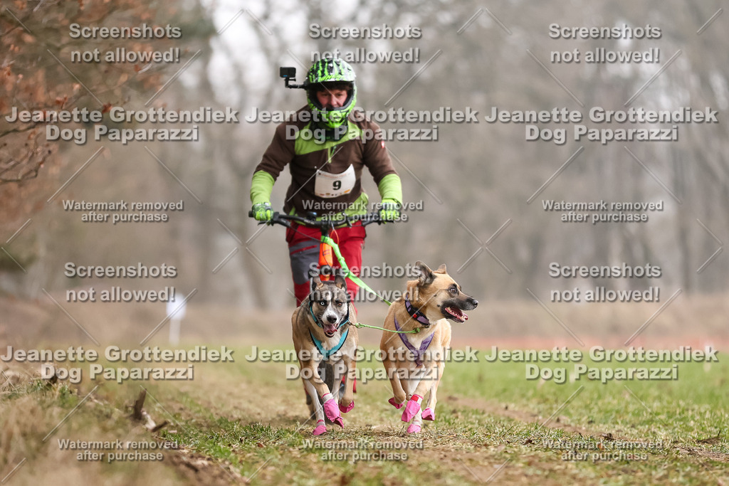 Dog Paparazzi - Plate 2026-31 | Dog Paparazzi Jeanette Grottendiek Fotografie & Videografie - Realisiert mit Pictrs.com