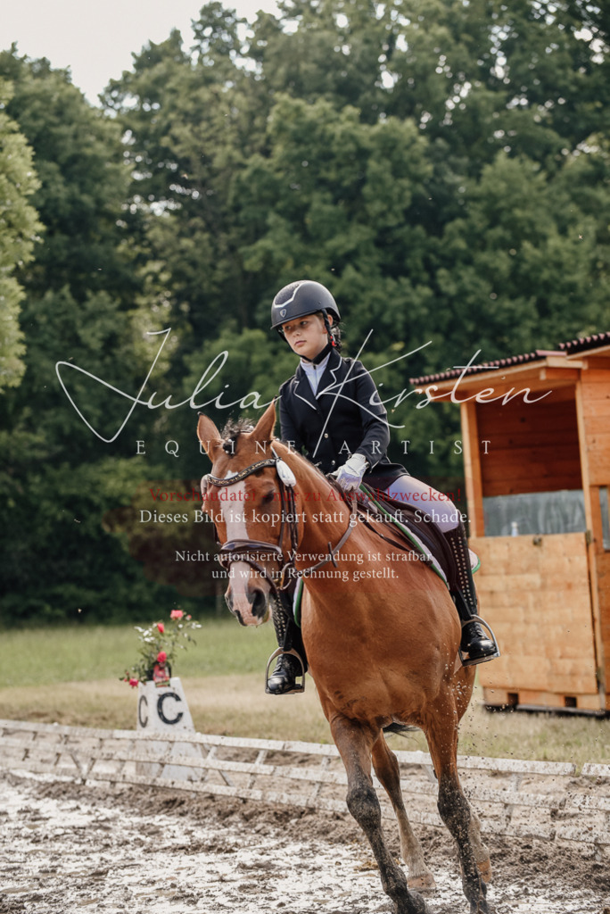 DSC_9126 | Pferde- und Turnierfotografie in Westsachsen. Pferdeportraits, Auftragszeichnungen und intuitive Kunst.