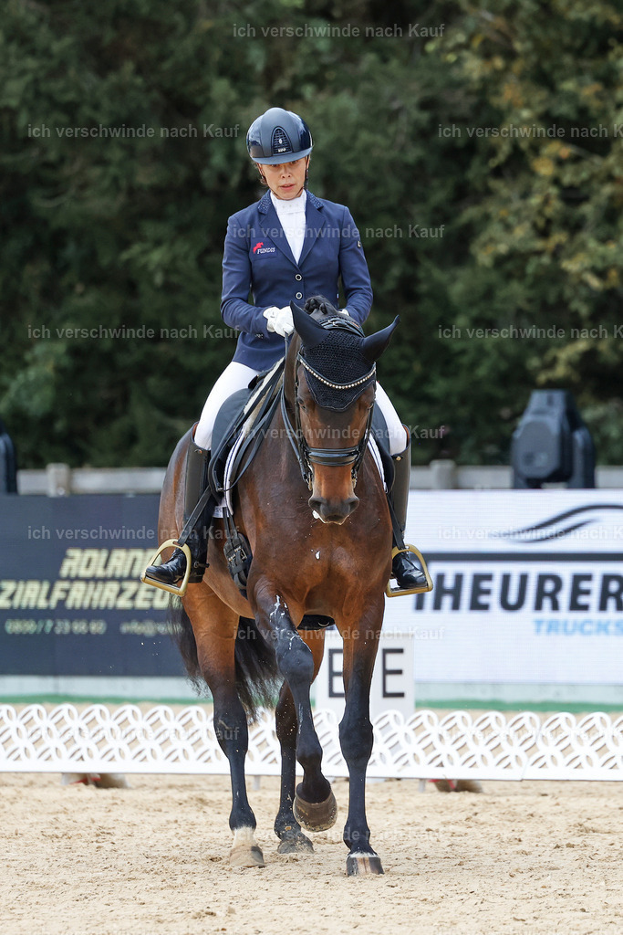 3-241-Dressur M_-StoibPH-2342 | working equitationturnier fotograf videograf stoibphotography marixx film working equitation deutschland reitsport turnierfotografie eventfotografie equestrian events