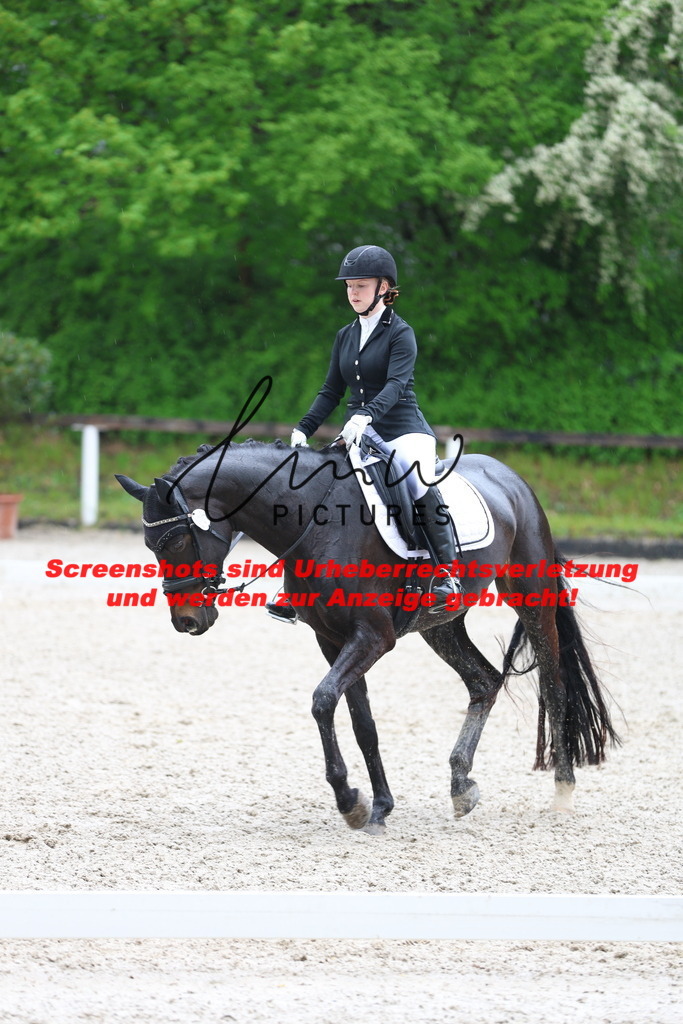 A40A9526 | lmwpictures - Realisiert mit Pictrs.com