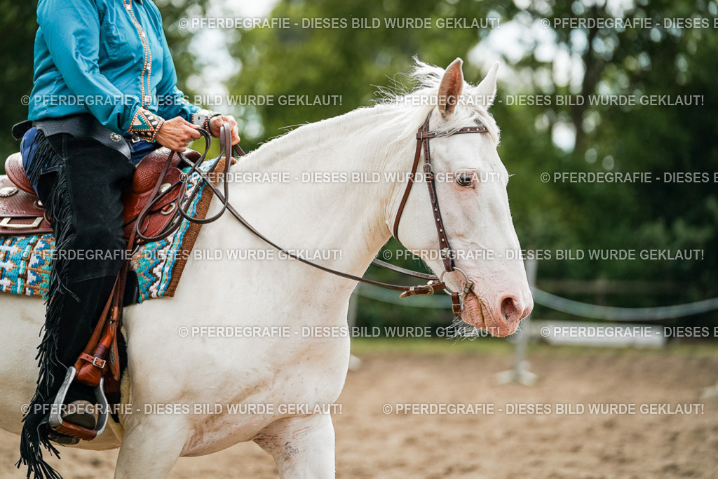 DSC03815 | Pferdegrafie