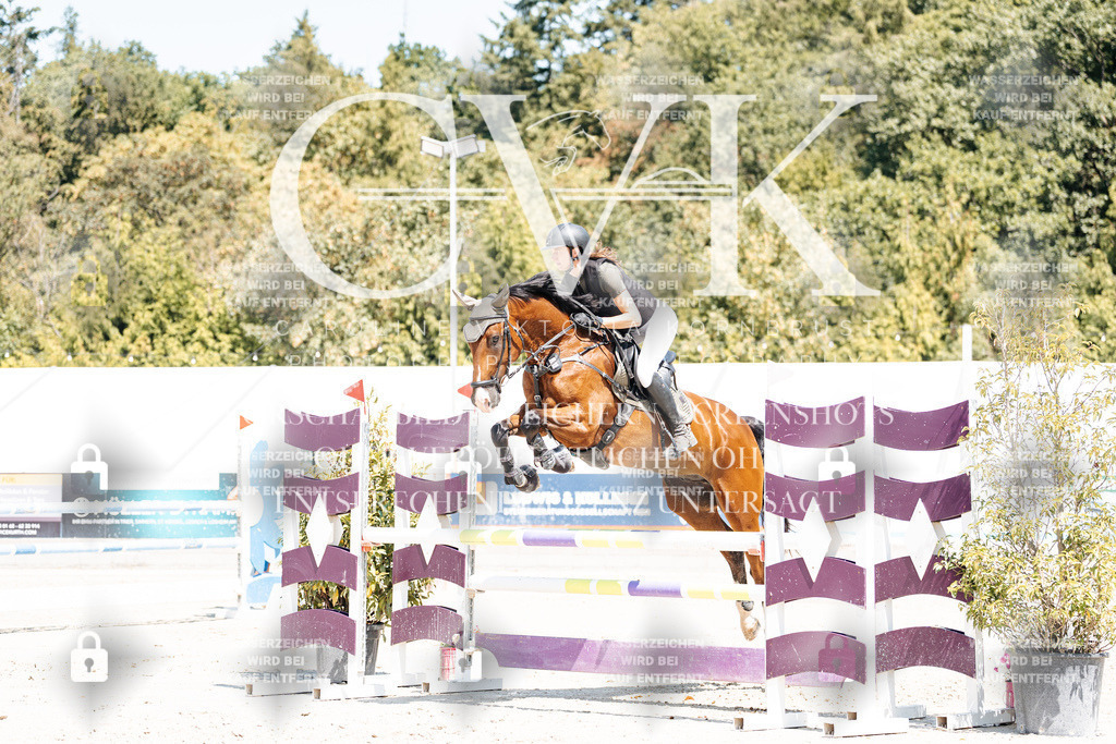 CK900307 | Turnierfotografie Pferdefotografie Trier Rheinland-Pfalz Pferdesport Reitsport Tierfotografie Sportfotografie Pferdevideo Pferdevideografie Equestrianvideography equestrianphotography  - Realisiert mit Pictrs.com